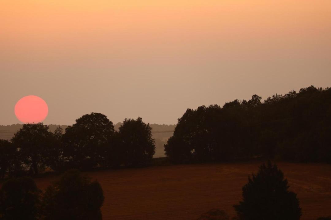 Photo of Others in Chatellerault