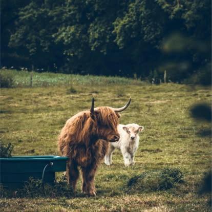 Photo of Others in La Celle-sous-Gouzon