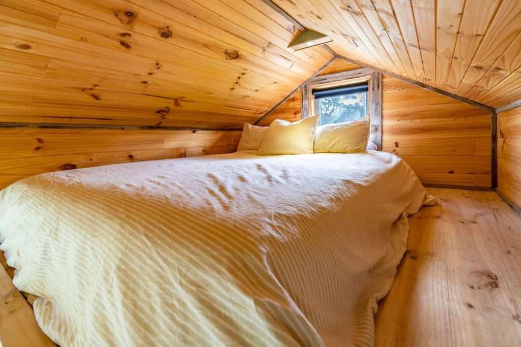 Photo of Others in Monegeetta