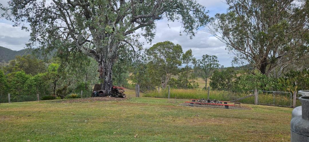 Photo of Others in Mount Kilcoy