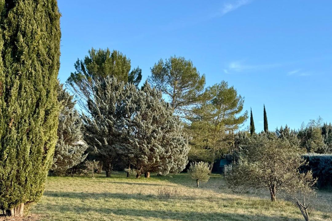 Photo of Others in Saint-Maurice-d'Ibie