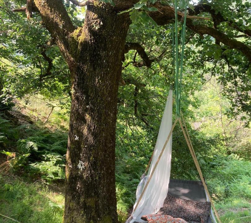 Photo of Outdoor in Concoules