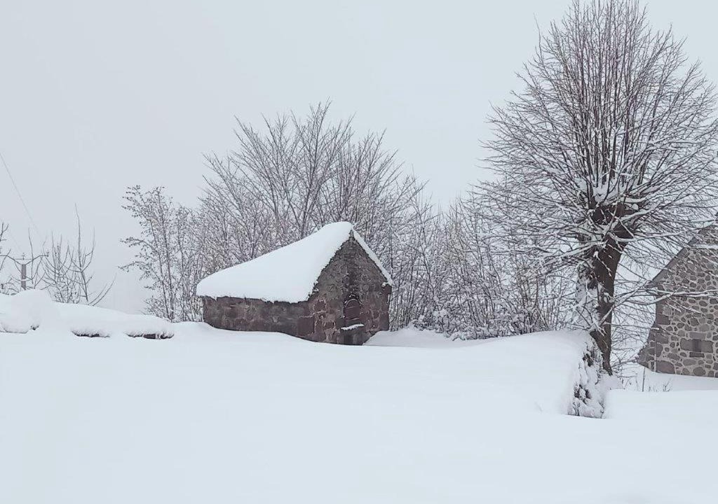 Photo of Others in Saint-Projet-de-Salers