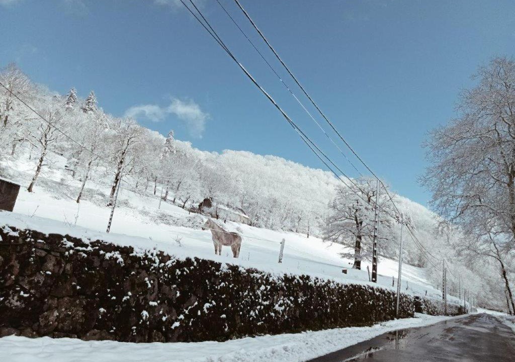 Photo of Others in Saint-Projet-de-Salers