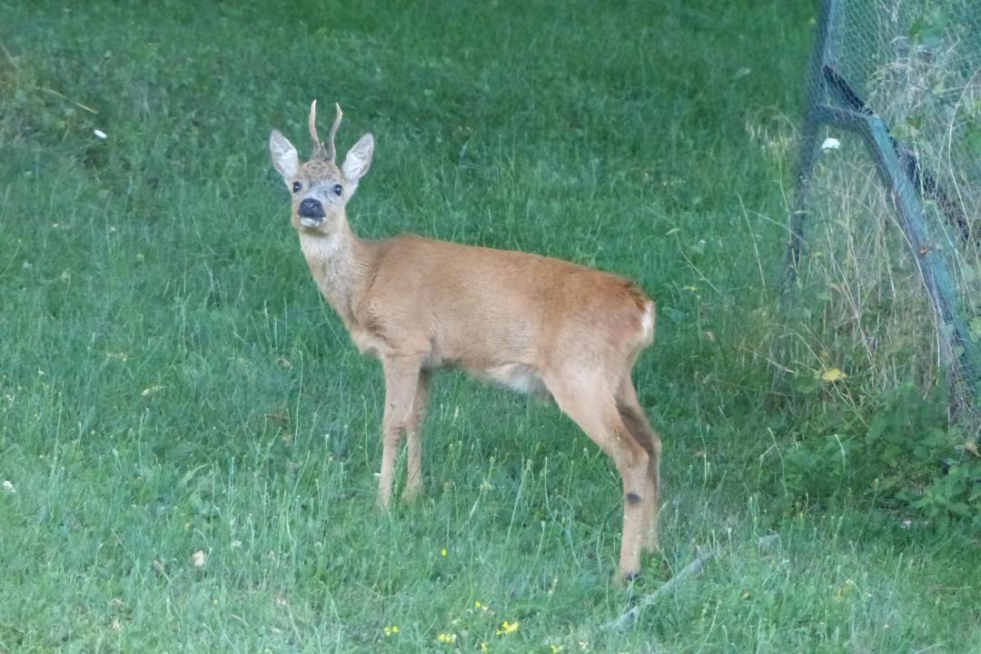 Photo of Others in Ranspach