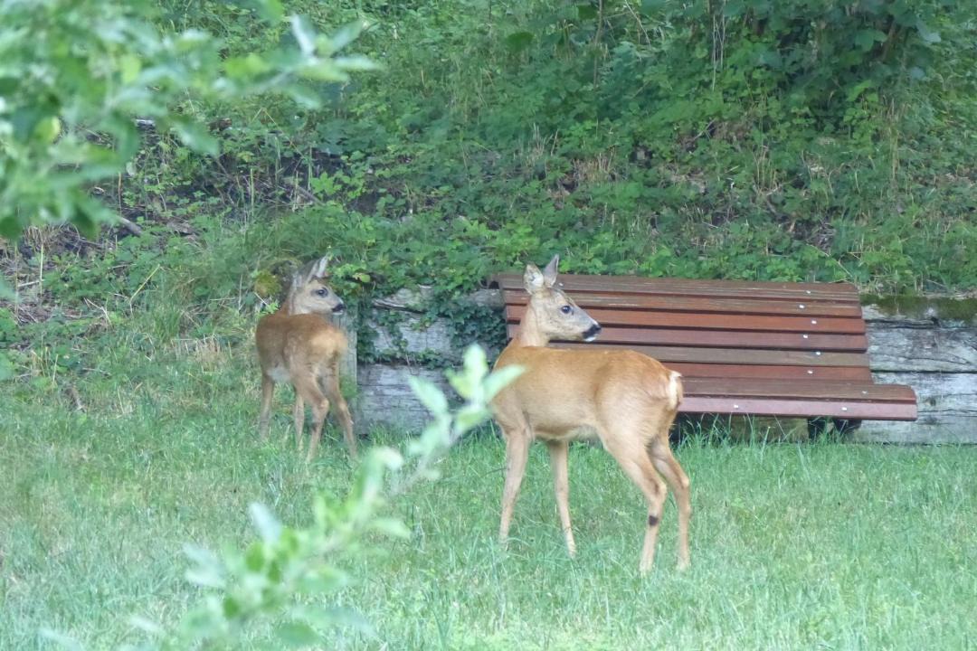 Photo of Others in Ranspach