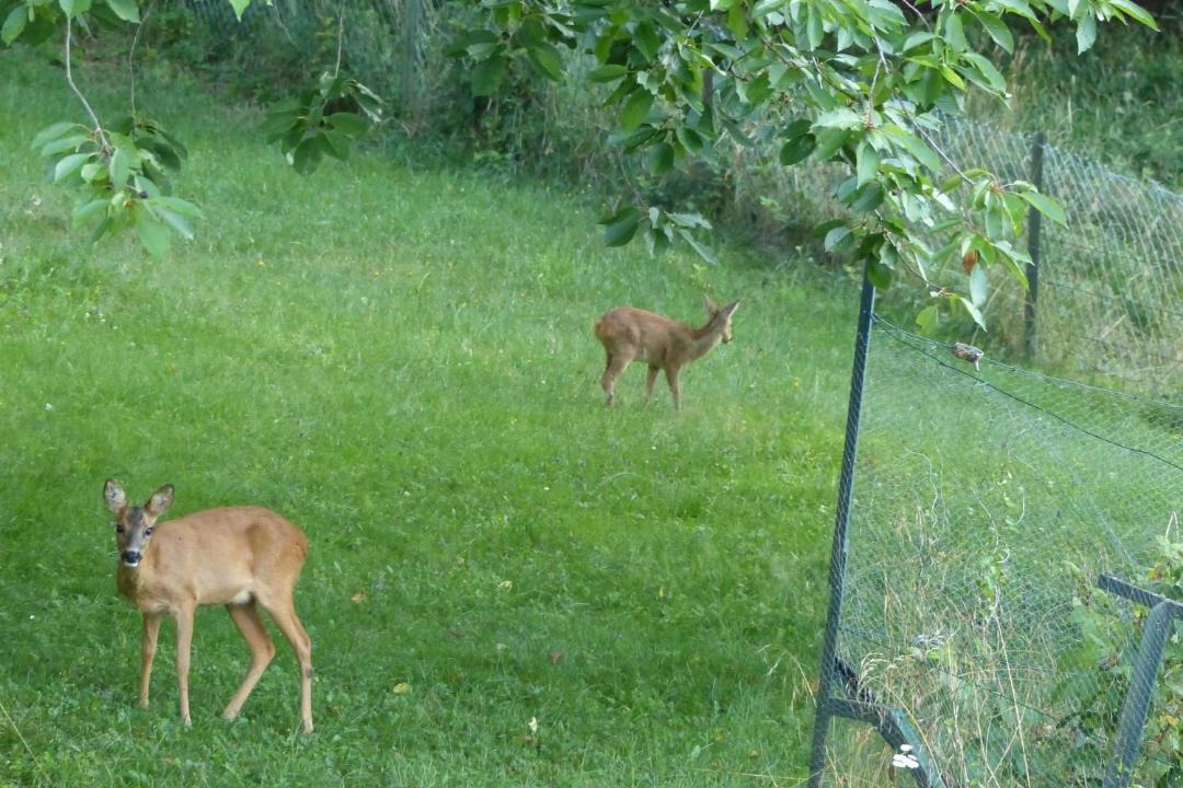 Photo of Others in Ranspach