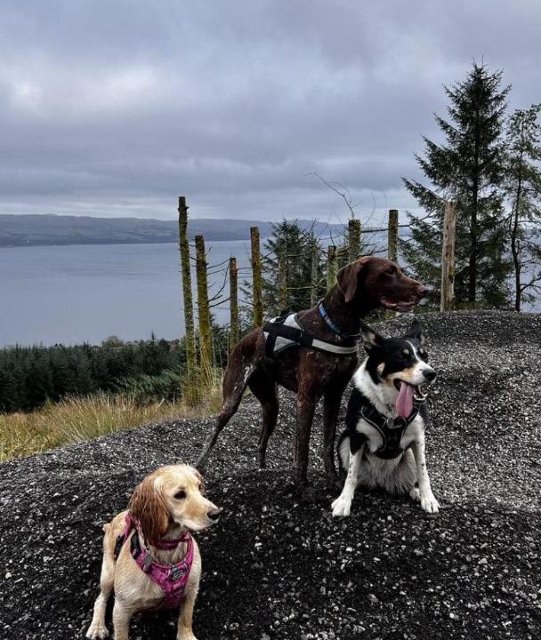 Photo of Others in Kilmun