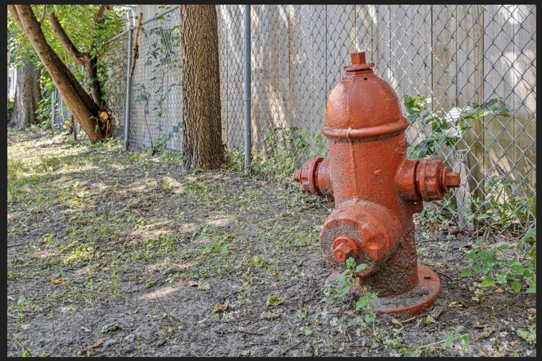 Photo of Others in Regina