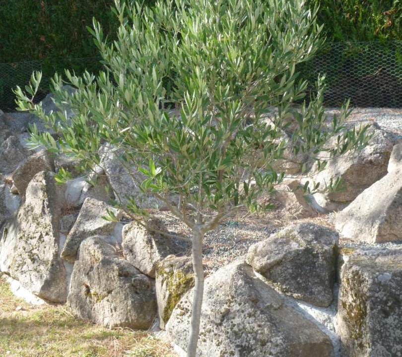 Photo of Others in Les Herbiers