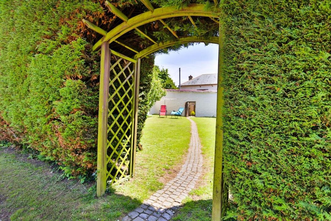 Photo of Others in Braunton