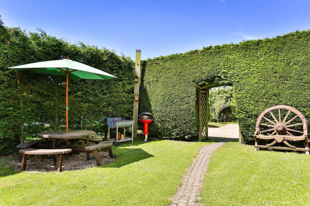 Photo of Others in Braunton