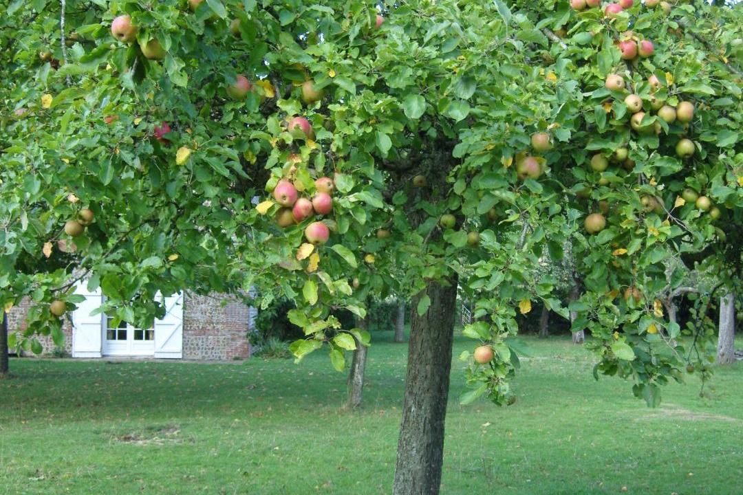 Photo of Others in Saint-Germain-d'Aunay