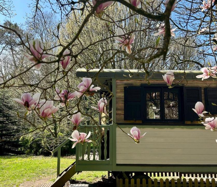 Photo of Others in Caden