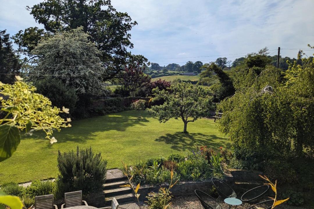 Photo of Others in Longford