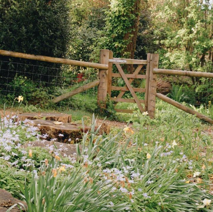 Photo of Others in Longford