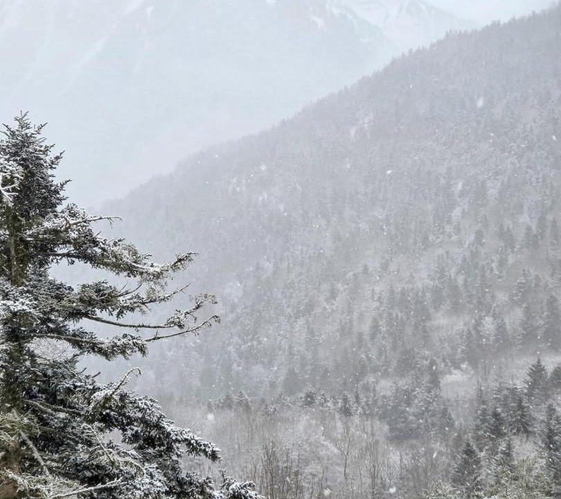 Photo of Others in Aragnouet
