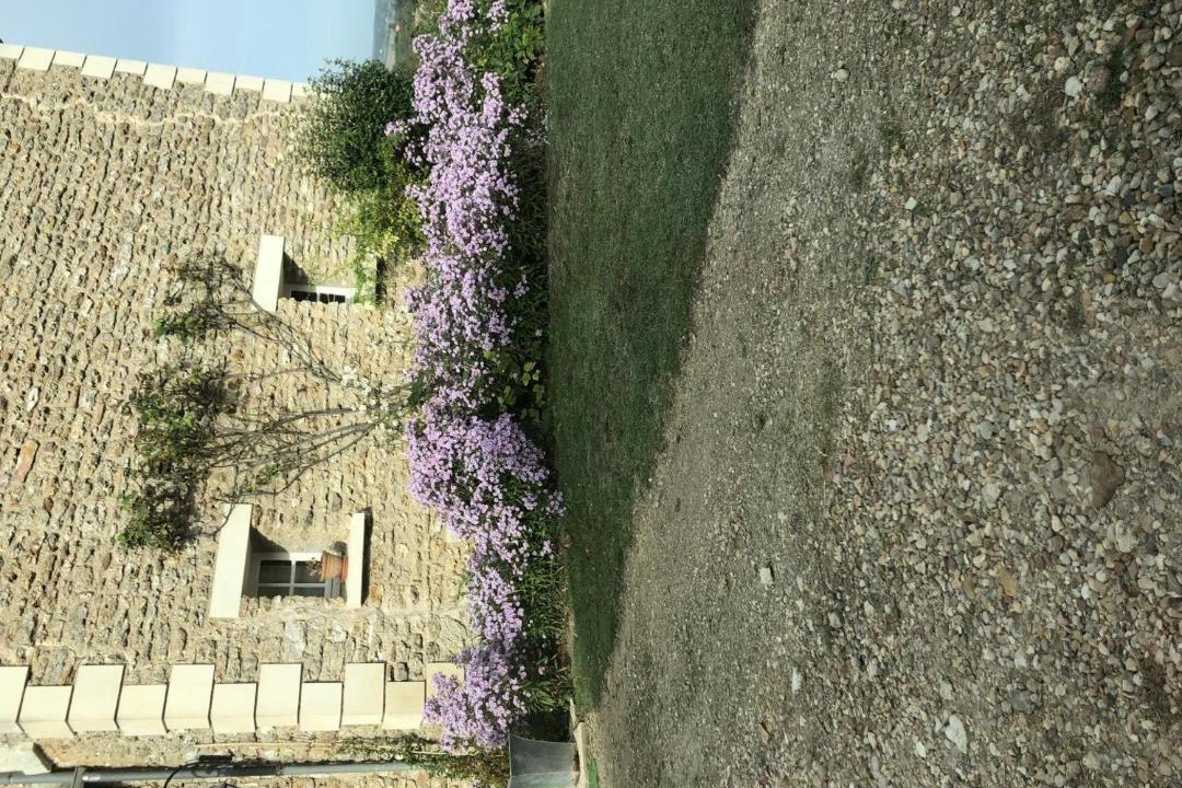 Photo of Others in Vouneuil-sur-Vienne