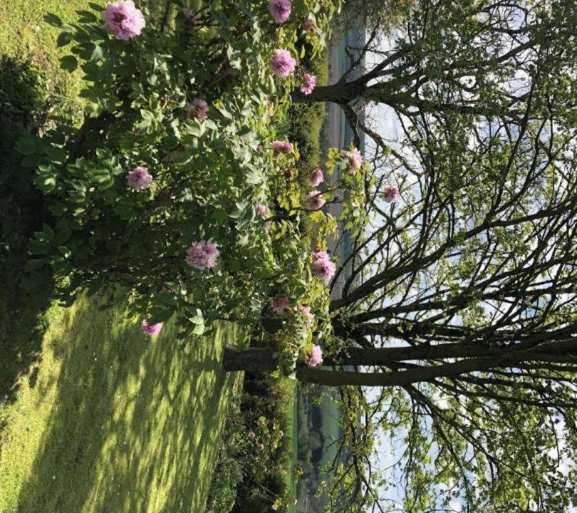 Photo of Outdoor in Vouneuil-sur-Vienne