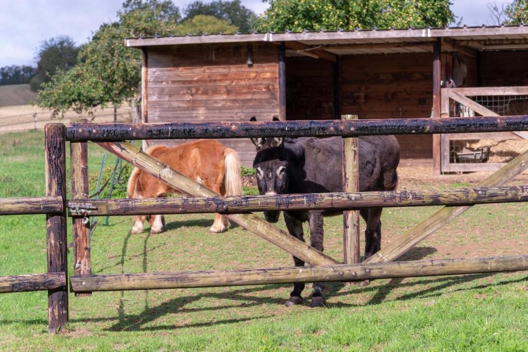 Photo of Others in Pre-en-Pail