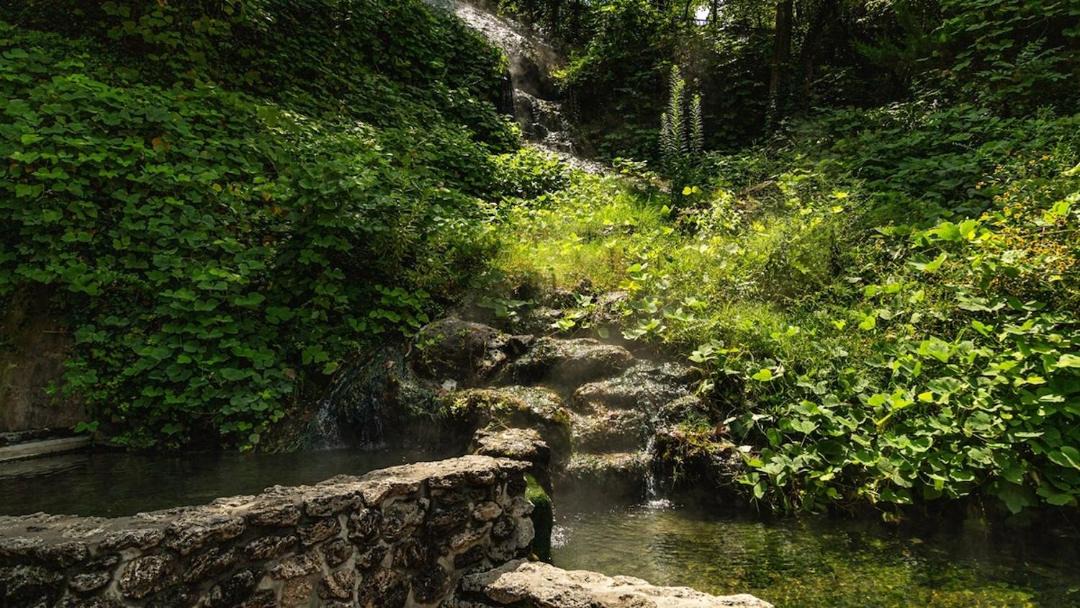 Photo of Others in Hot Springs