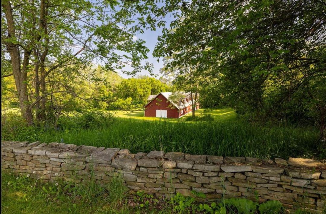 Photo of Others in Town of Jerusalem