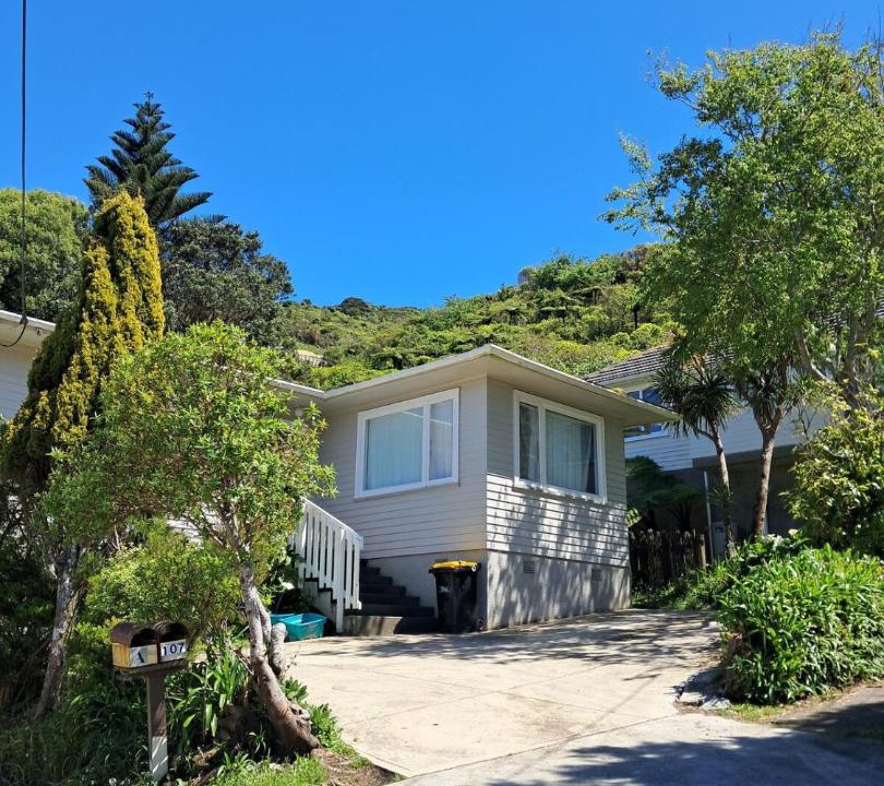 Photo of Others in Kapiti Island