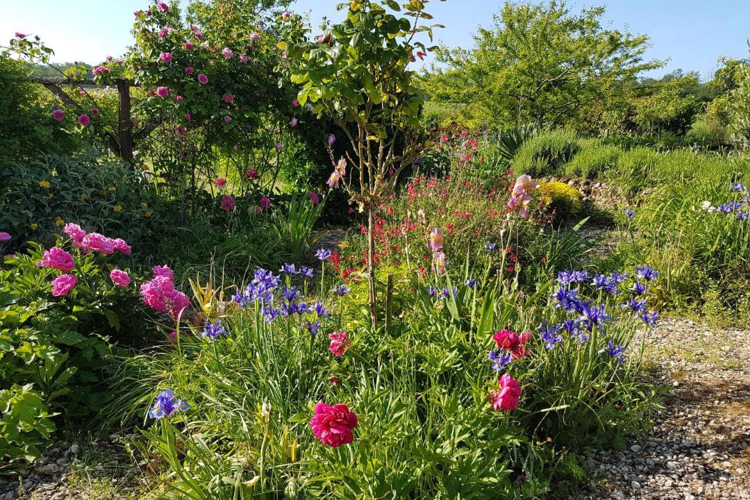 Photo of Others in Saint-Romain