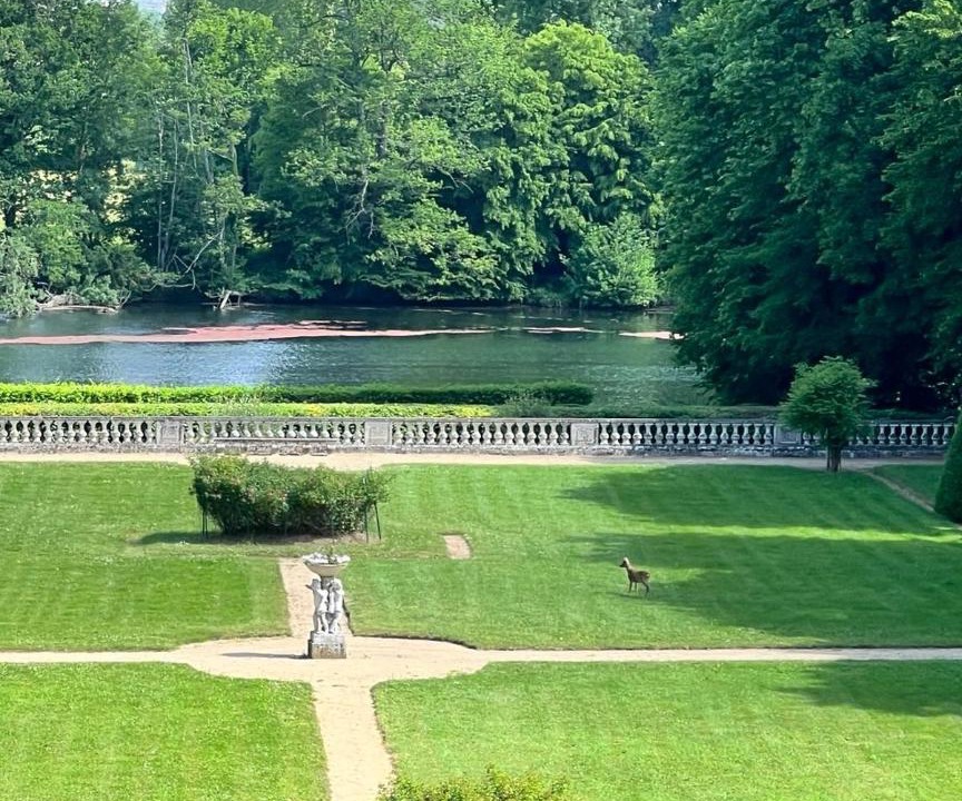 Photo of Others in Olivet