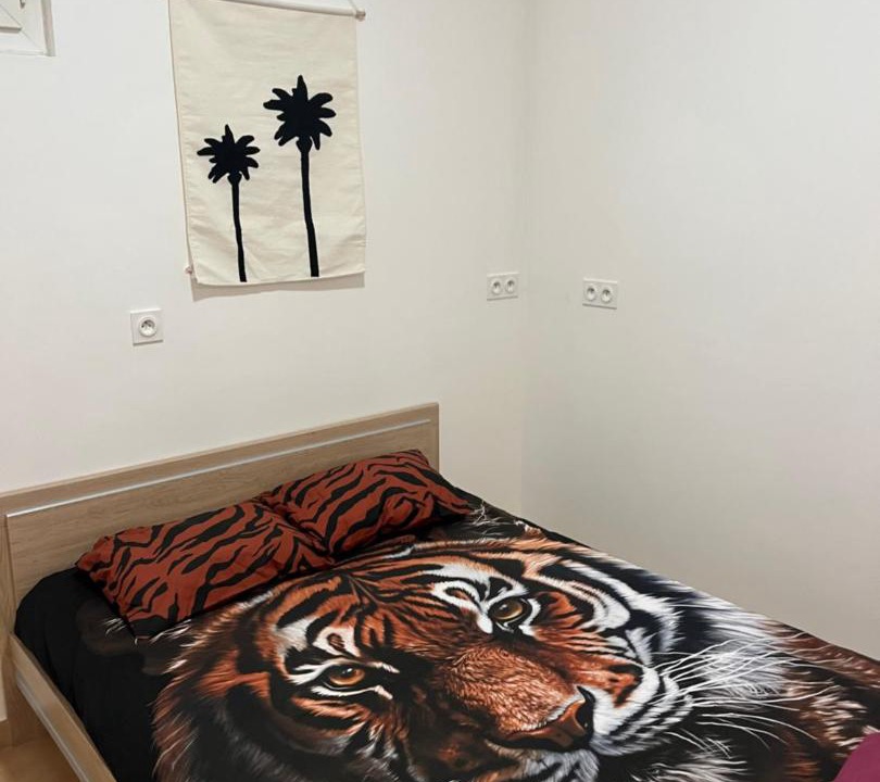 Photo of Others in Tarbes