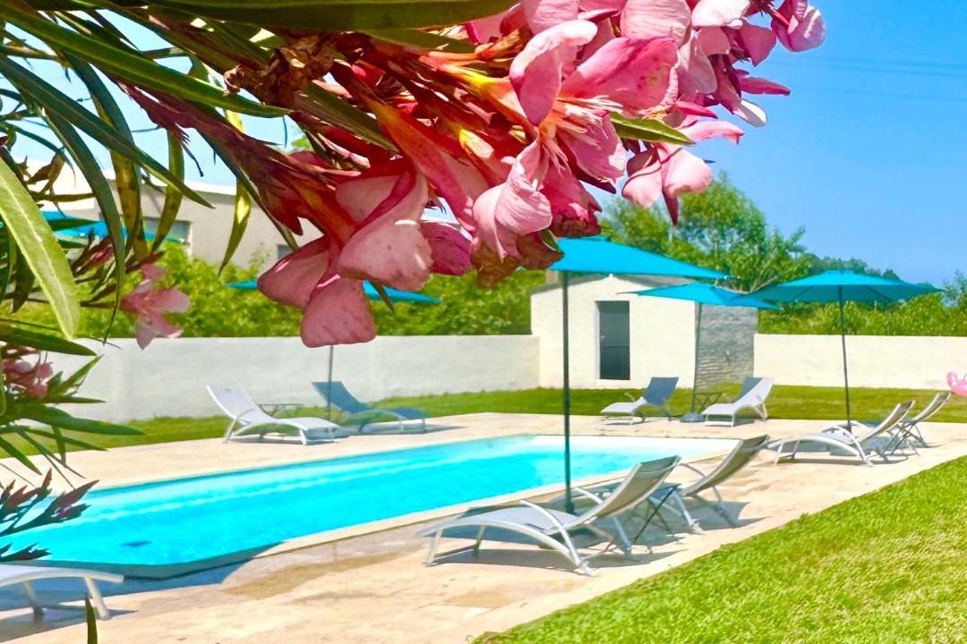 Photo of Others in Ghisonaccia