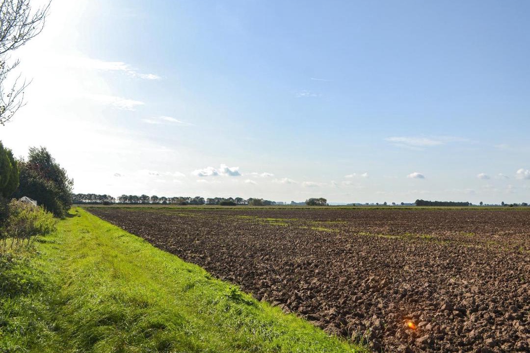 Photo of Others in Patrington Haven