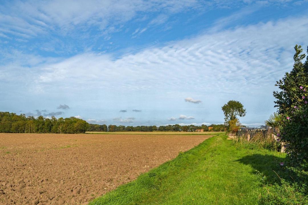 Photo of Others in Patrington Haven