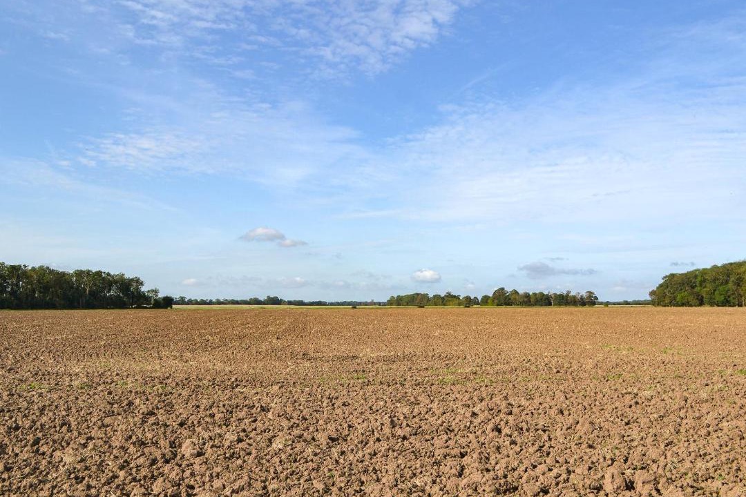 Photo of Others in Patrington Haven