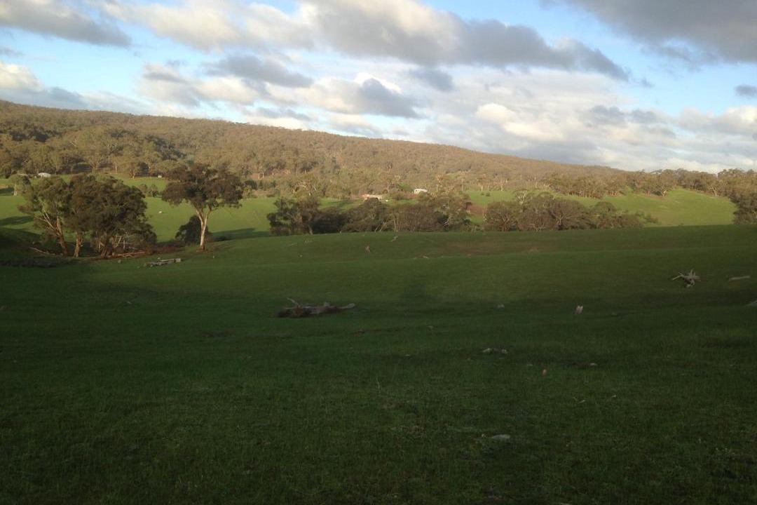 Photo of Others in Metcalfe