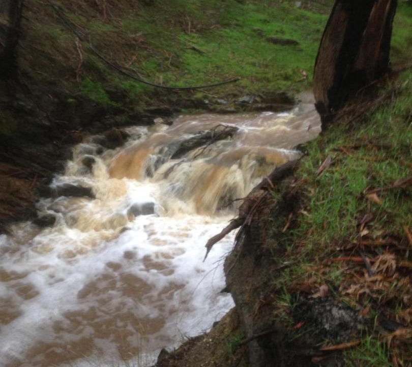 Photo of Others in Metcalfe