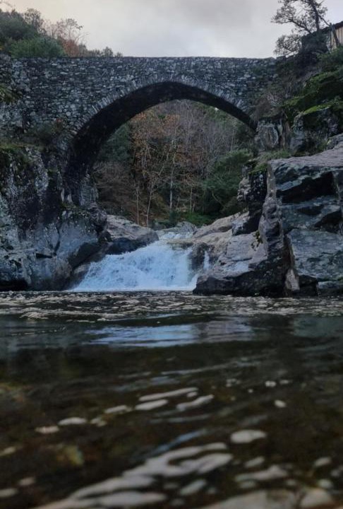 Photo of Others in Banne