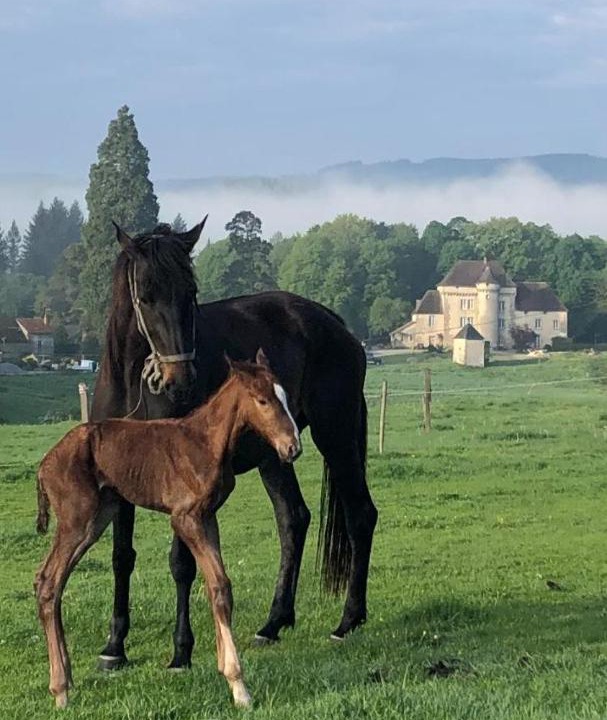 Photo of Others in Saint-Hilaire-le-Chateau
