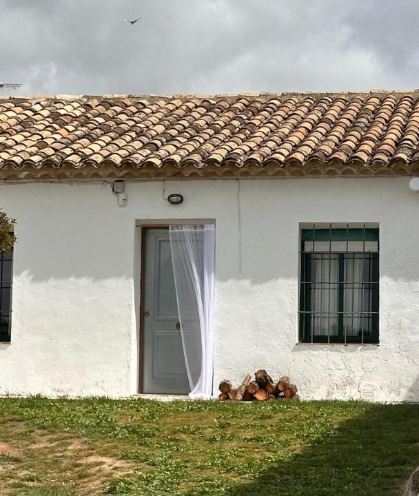 Photo of Others in Altarejos