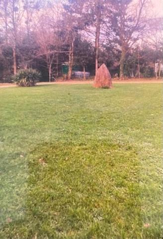 Photo of Others in Allaire