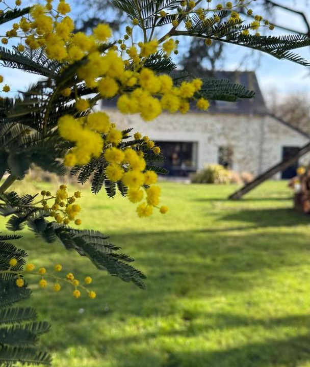 Photo of Others in Soulaines-sur-Aubance