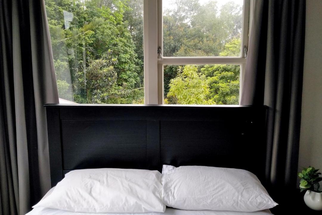 Photo of Others in Auckland