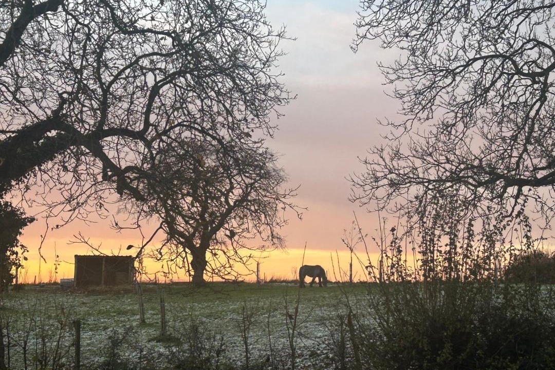 Photo of Others in Maresches