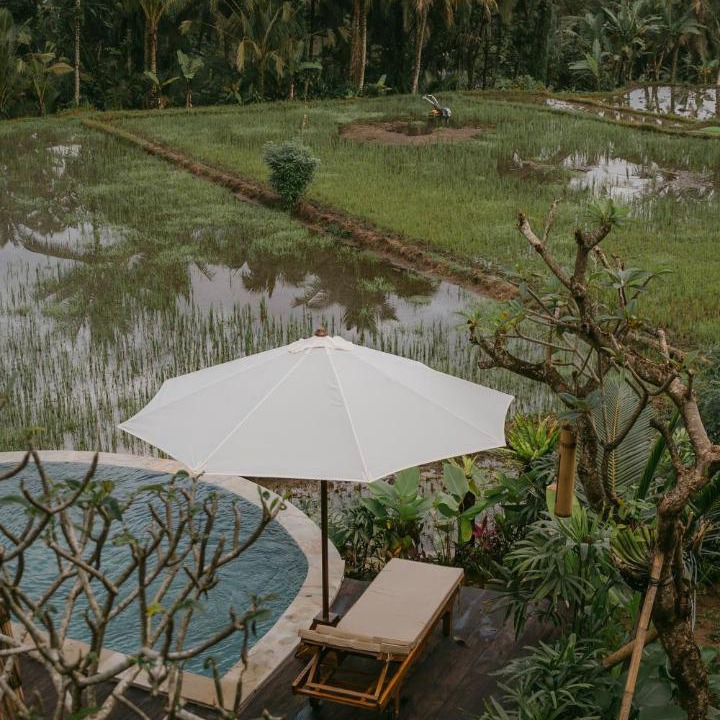 Photo of Others in Selat