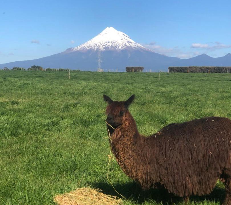 Photo of Others in Lepperton