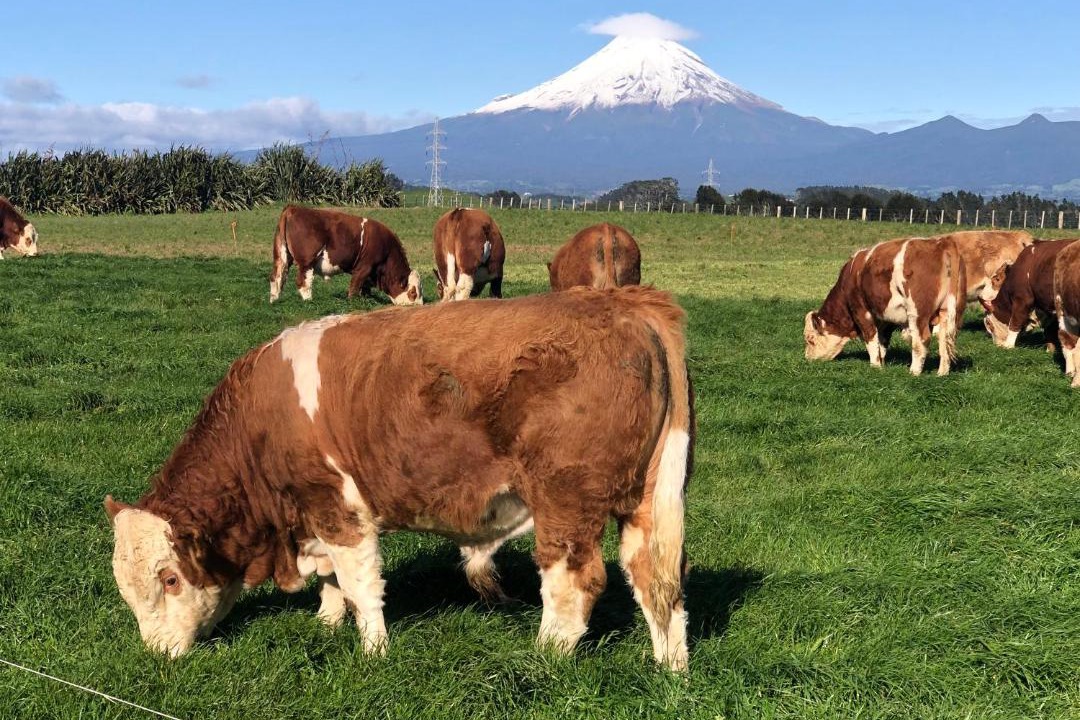 Photo of Others in Lepperton