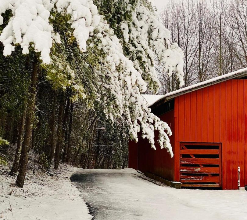 Photo of Others in Dahlonega