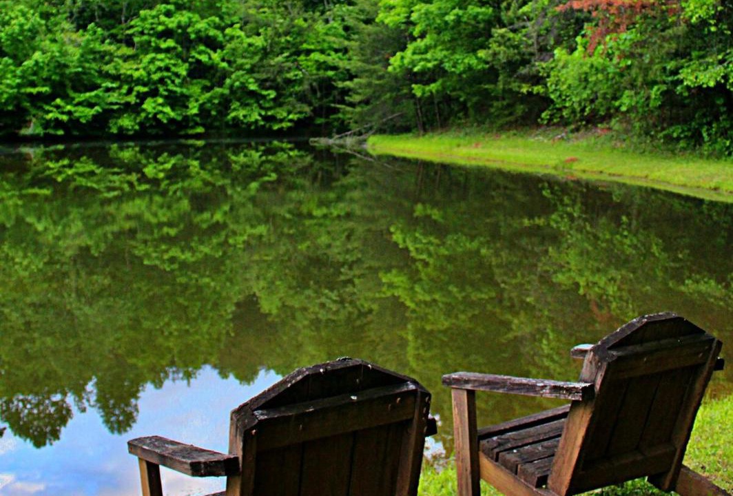 Photo of Others in Dahlonega