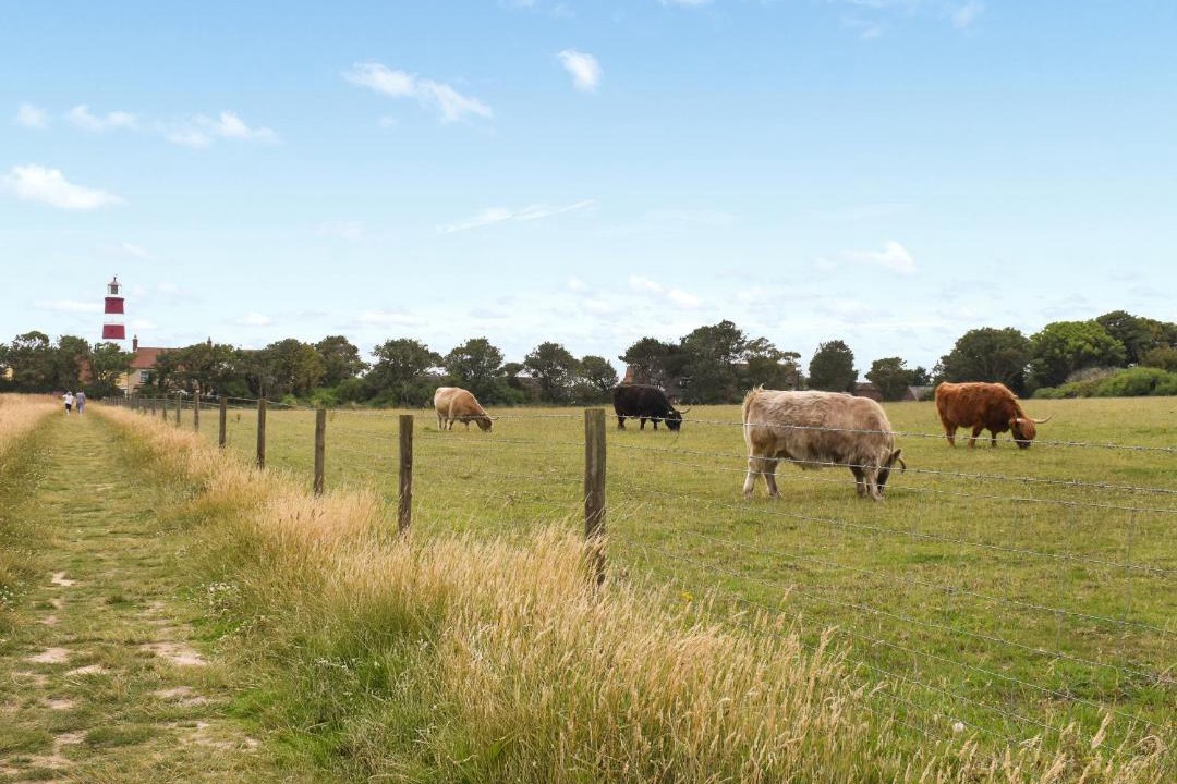 Photo of Others in Happisburgh