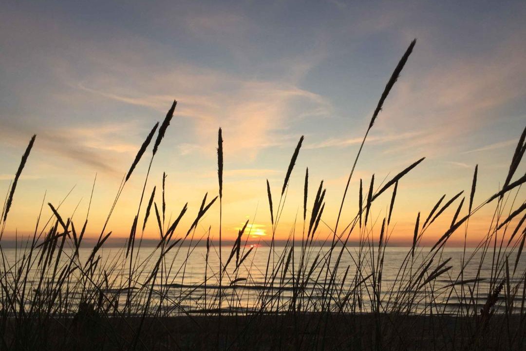 Photo of Others in Udsholt